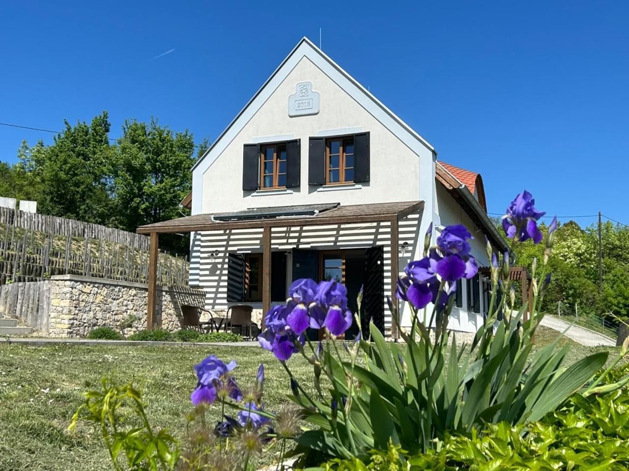 Borbora Borhaz Villa Vászoly Exterior foto